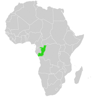 Republik Kongo Lage in Afrika